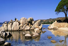 掘金vs雷霆直播哪里看？这场西部对决有哪些精彩看点？